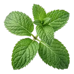 Imagen PNG para descargar